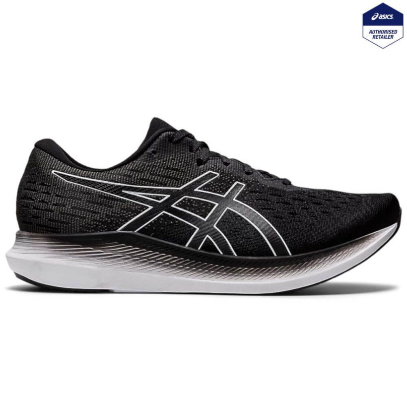 Puma metaride 2025
