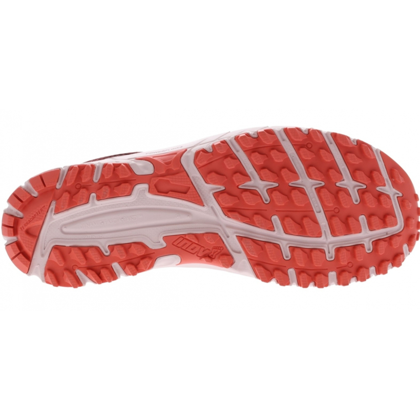 Inov 8 Parkclaw 260 Knit Trail Running 13410 Sportkult