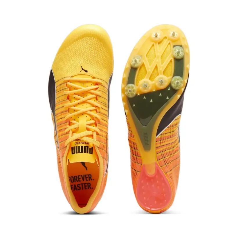 Puma Teamwear Evospeed Future 6