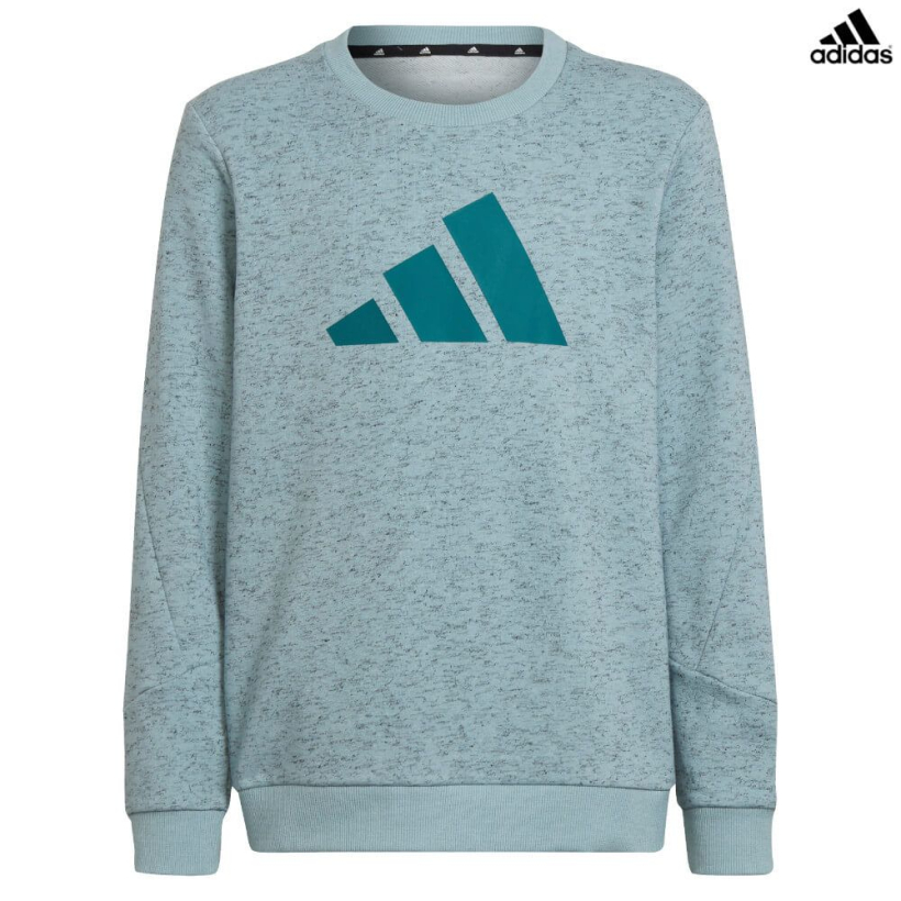 Толстовка Adidas Future Icons 3-Stripes Sweatshirt Magic Grey/Legacy Teal детская (арт. HE1925) - 
