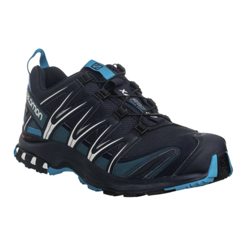 SALOMON L39332000 XA PRO 3D GTX OLD