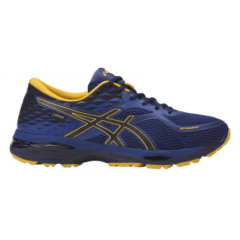 Asics cumulus 19 gore new arrivals tex